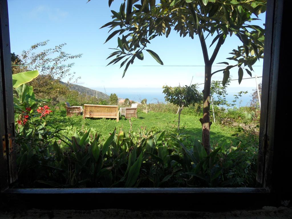 Finca Cueva Del Viento Icod De Los Vinos Quarto foto