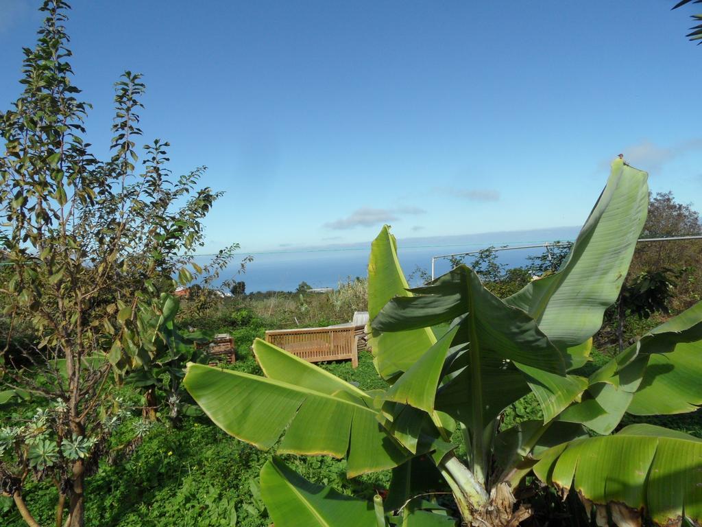 Finca Cueva Del Viento Icod De Los Vinos Quarto foto